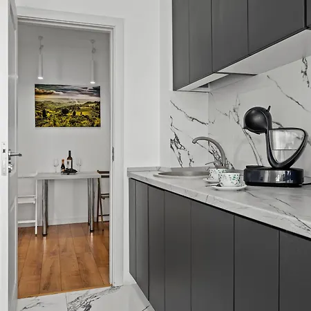 De Lux Moghioros Park Apartment