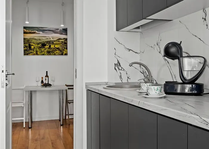 De Lux Moghioros Park Apartament